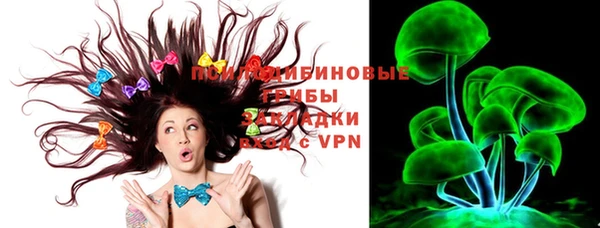 шишки Кодинск