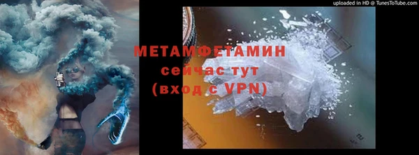 шишки Кодинск