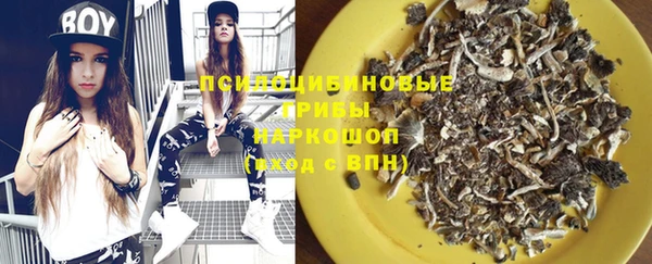 шишки Кодинск