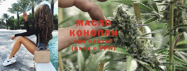 шишки Кодинск