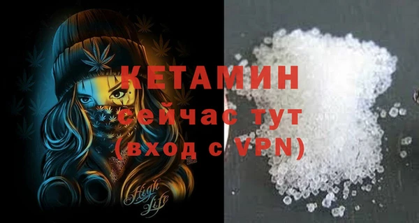 шишки Кодинск