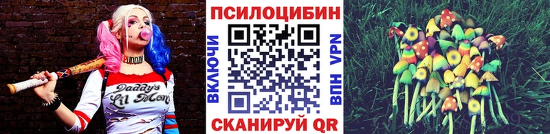 Псилоцибиновые грибы ЛСД  кракен вход  Кириллов  что такое  